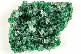Fluorescent Green Fluorite Cluster - Diana Maria Mine, England #208847
