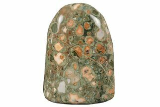 Free-Standing, Polished Rainforest Jasper (Rhyolite) - Australia #208480