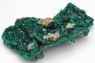Gemmy Dioptase Crystal Cluster - N'tola Mine, Congo #209336