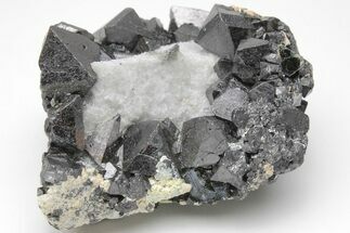 Octahedral Magnetite Crystals In Calcite - Russia #209446