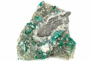 Gemmy Dioptase Crystals on Quartz - Sanda Mine, Congo #209676