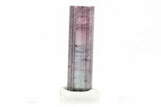Bicolor Elbaite Tourmaline Crystal - Aricanga Mine, Brazil #209811