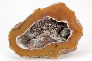 Colorful, Polished Condor Agate - Argentina #209592