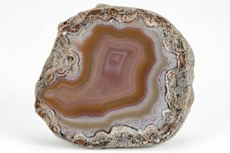 Colorful, Polished Condor Agate - Argentina #209605