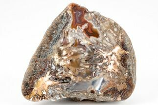 Colorful, Polished Condor Agate - Argentina #209609