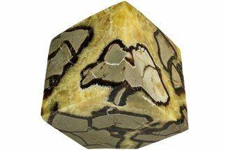 Wide, Polished Septarian Cube - Madagascar #210229