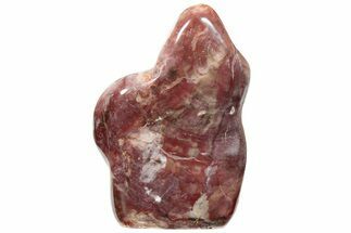 Free-Standing, Polished Petrified Wood - Madagascar #209943