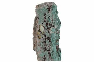 Green Jasper Replaced Petrified Wood - Hampton Butte, Oregon #210824