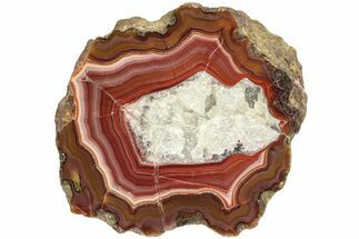 Colorful, Polished Condor Agate - Argentina #209617