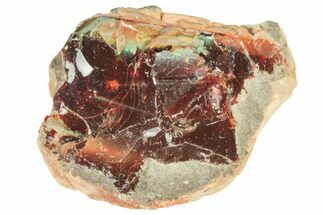Ethiopian Chocolate Opal Nodule - Yita Ridge #211282