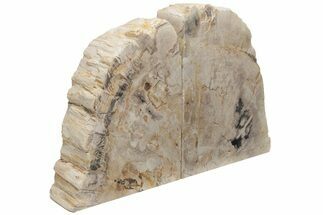 Tall, Petrified Wood (Tropical Hardwood) Bookends - Indonesia #211764