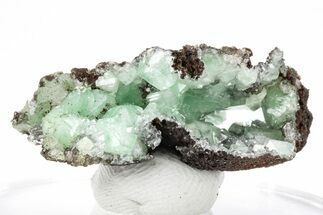 Cuprian Adamite Crystals on Matrix - Ojuela Mine, Mexico #211976