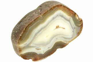 Polished Black River Agate - Argentina #209628