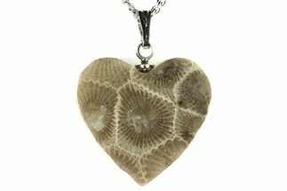Polished, Heart Shaped Petoskey Stone (Fossil Coral) Necklaces - Michigan #212801