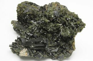 Lustrous, Epidote Crystal Cluster on Actinolite - Pakistan #213428