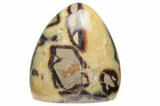 Free-Standing, Polished Septarian - Madagascar #212021