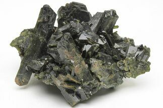 Lustrous, Epidote Crystal Cluster on Actinolite - Pakistan #213432