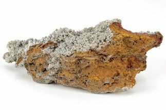 Vanadinite Crystal Cluster - Downieville Mine, Nevada #213799