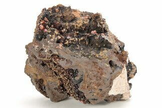 Small, Red Vanadinite Crystals on Manganese Oxide - Morocco #211999