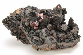 Small, Red Vanadinite Crystals on Manganese Oxide - Morocco #212004