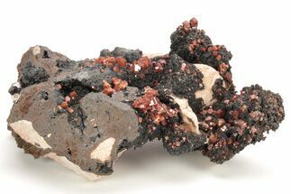 Small, Red Vanadinite Crystals on Manganese Oxide - Morocco #212018