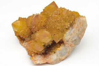 Sunshine Cactus Quartz Crystal Cluster - South Africa #212685