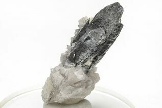 Buy Wodginite