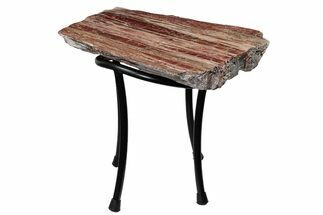 Arizona Petrified Wood Table With Metal Base #214471