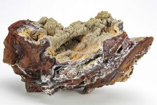 Vanadinite & Wulfenite Crystal Association - Nevada #214821