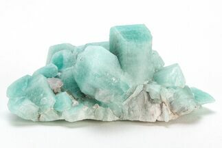 Amazonite Crystal Cluster - Percenter Claim, Colorado #214890