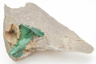 Silky, Fibrous Malachite Crystals on Matrix - Morocco #215030