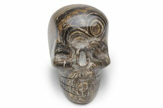 Polished Stromatolite (Greysonia) Skull - Bolivia #216714