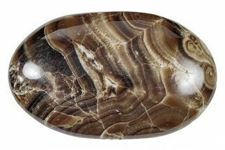 Polished Chocolate Calcite Palm Stone - Pakistan #217732