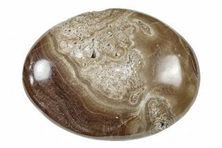 Polished Chocolate Calcite Palm Stone - Pakistan #217733