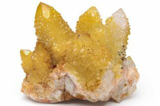 Sunshine Cactus Quartz Crystal Cluster - South Africa #217972
