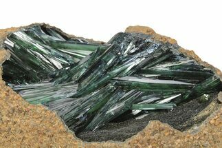 Emerald-Green Vivianite Crystals in Phosphatic Nodule - Brazil #218264