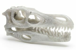 Carved Labradorite Dinosaur Skull #218490