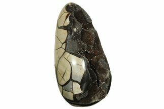 Free-Standing, Polished Septarian Geode - Black Crystals #219097