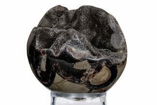 Polished, Septarian Geode Sphere - Madagascar #219107