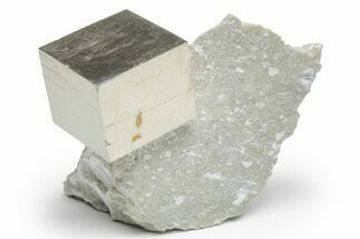 Natural Pyrite Cube In Rock - Navajun, Spain #218980
