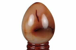 Colorful, Polished Carnelian Agate Egg - Madagascar #219029