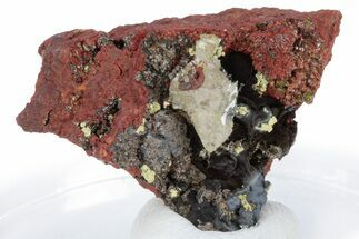 Gemmy Adamite Crystals on Matrix - Ojuela Mine, Mexico #219808