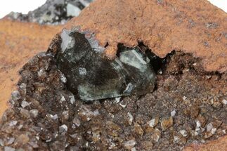 Gemmy Adamite Crystals on Matrix - Ojuela Mine, Mexico #219845