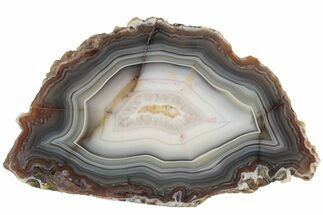Polished Banded Agate Nodule Slice - Kerrouchen, Morocco #186956