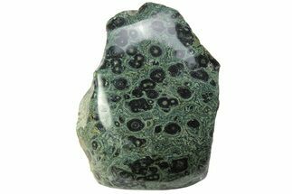 Free-Standing, Single-Side Polished Kambaba Jasper - Madagascar #221048