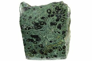 Free-Standing, Single-Side Polished Kambaba Jasper - Madagascar #221071