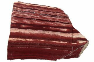 Polished Snakeskin Jasper Slab - Western Australia #221517