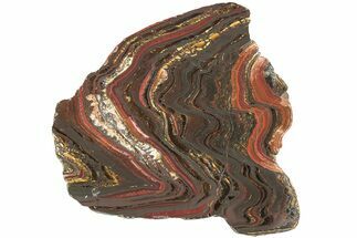 Polished Tiger Iron Stromatolite Slab - Billion Years #221820