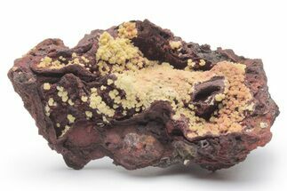 Mimetite Crystal Clusters on Limonitic Matrix - Mexico #220630