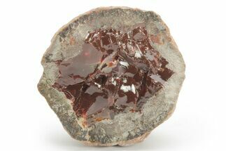 Ethiopian Chocolate Opal Nodule - Yita Ridge #211279